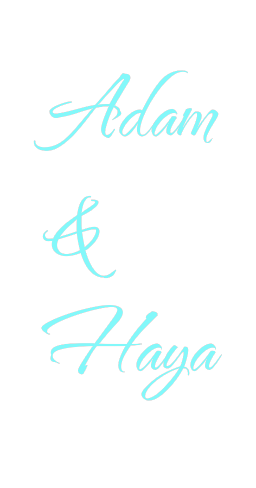 Custom Neon: Adam
&
Haya
