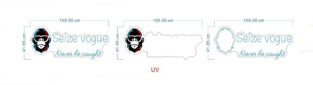 Seize Vogue Never Be Caught Neon Sign - 100cm - Special Request