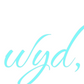 Custom Neon: wyd,