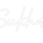 Custom Neon: The Sukhdeo's