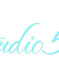 Custom Neon: Studio 53