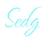 Custom Neon: Sedg