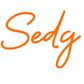 Custom Neon: Sedg