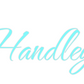 Custom Neon: Handley’s