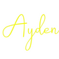 Custom Neon: Ayden