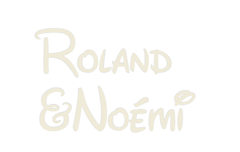 Custom Neon: Roland
&Noémi