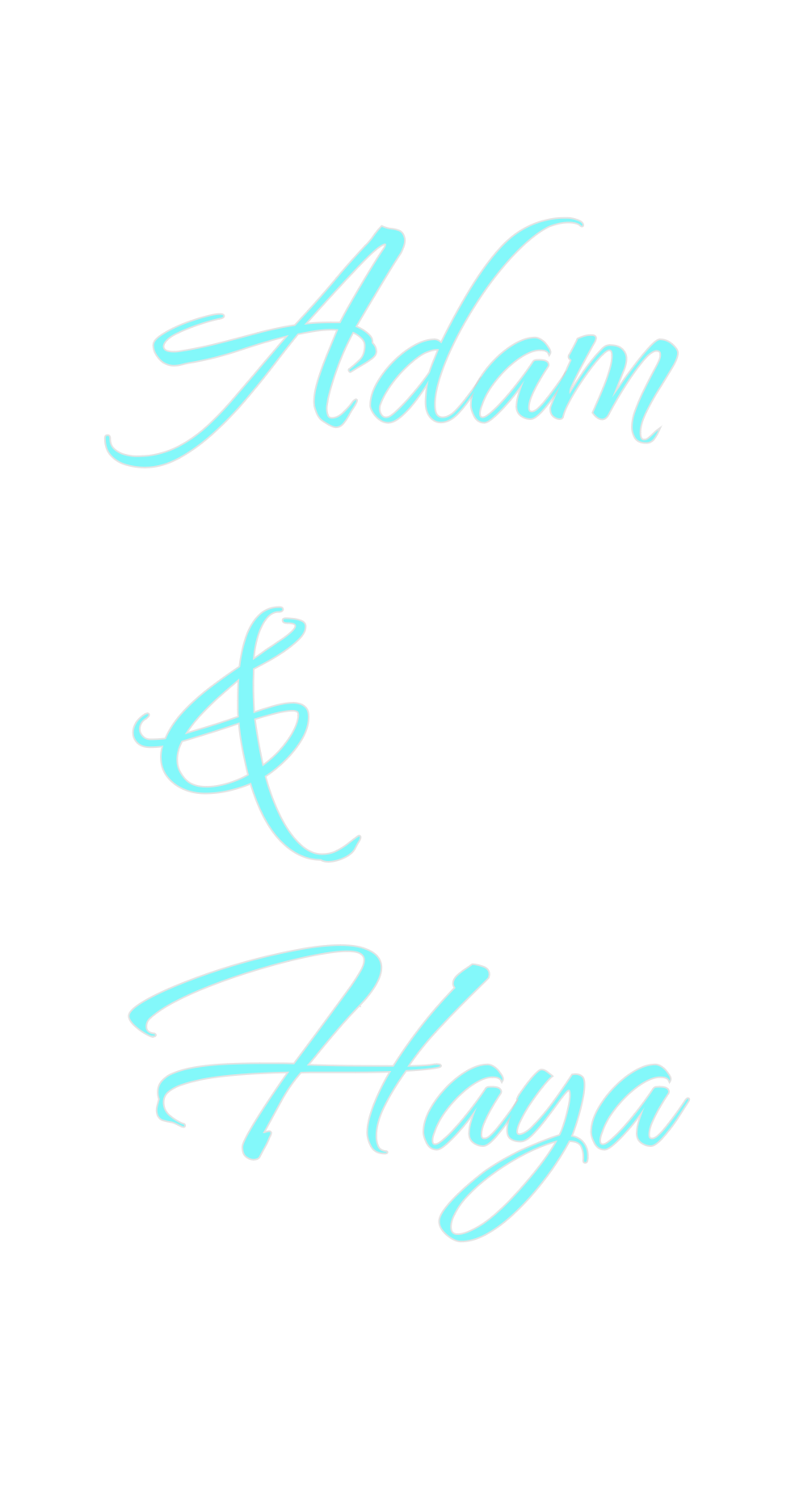 Custom Neon: Adam 
&
Haya