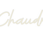 Custom Neon: The Chaudry’s