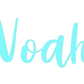 Custom Neon: Noah
