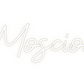 Custom Neon: The Moscioni’s